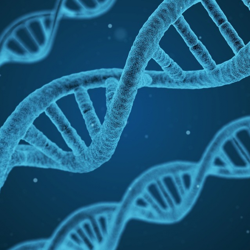 Estudo sobre mutações nos genes BRCA1 e 2