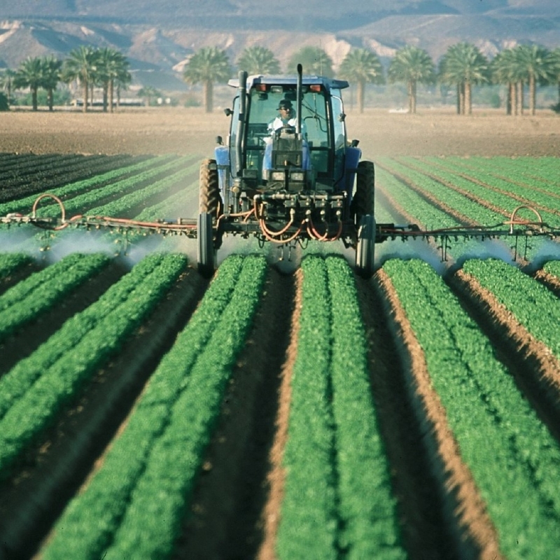 Agrotóxicos e incidência de câncer: há relação?