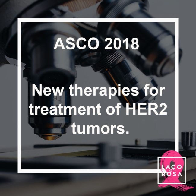 New therapies for treatment of HER2 tumors